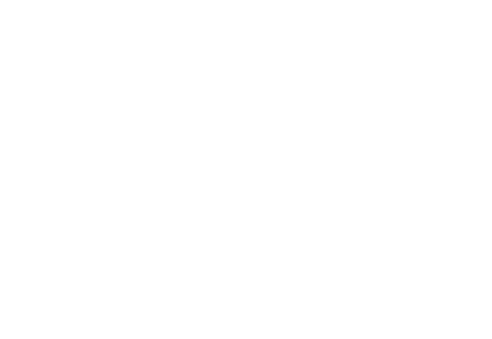 Hatzolat Israel Shidujim